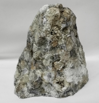 Korallenjaspis